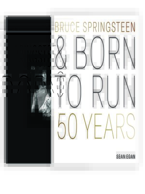 cover image of Bruce Springsteen and Born to Run